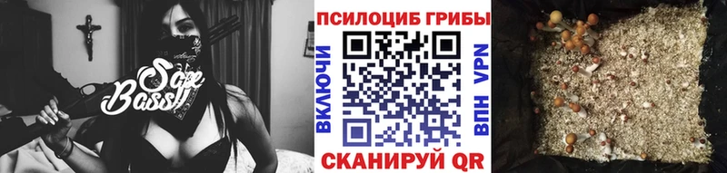где найти наркотики Шарыпово Галлюциногенные грибы ЛСД